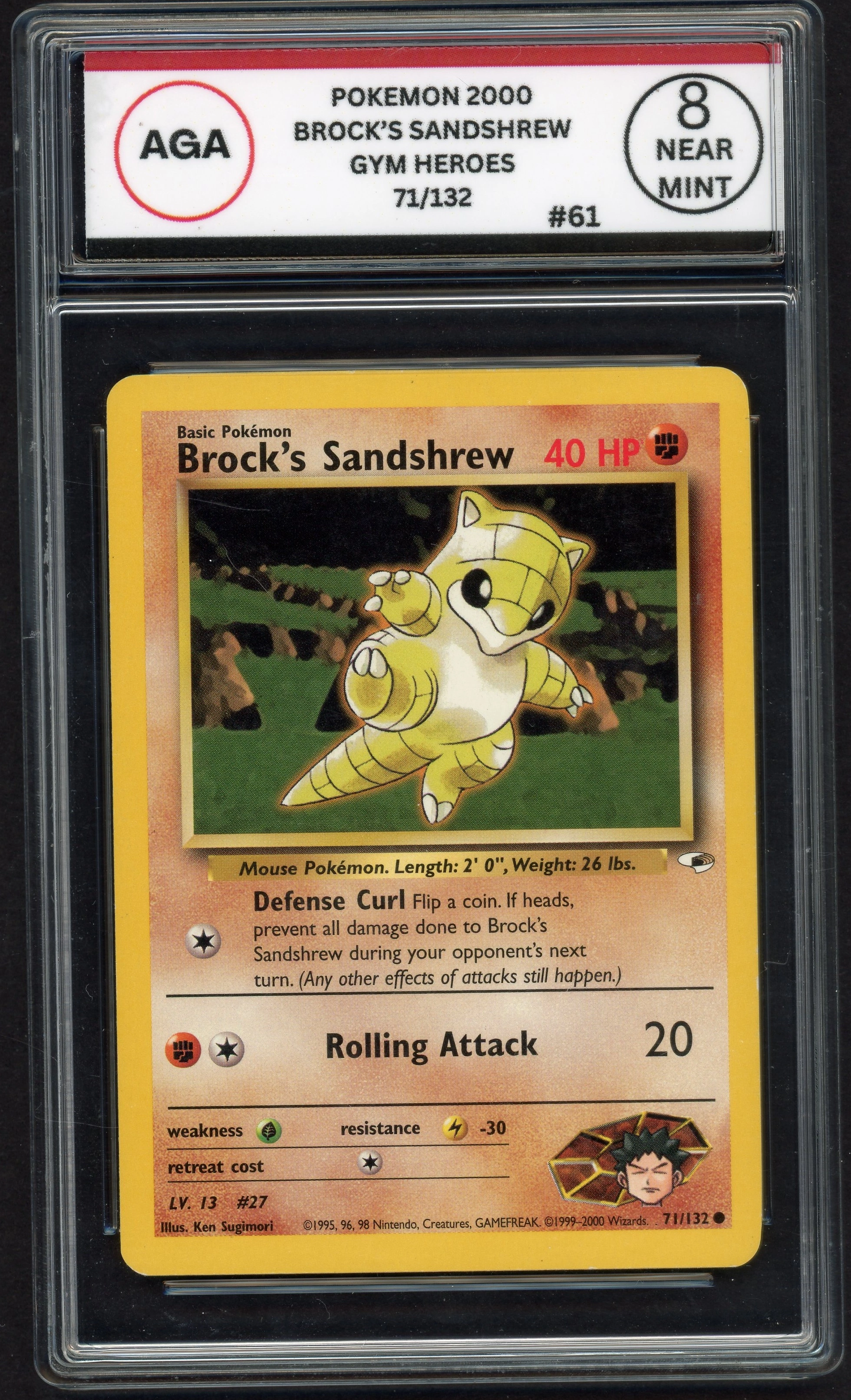 aga-brocksandshrew front