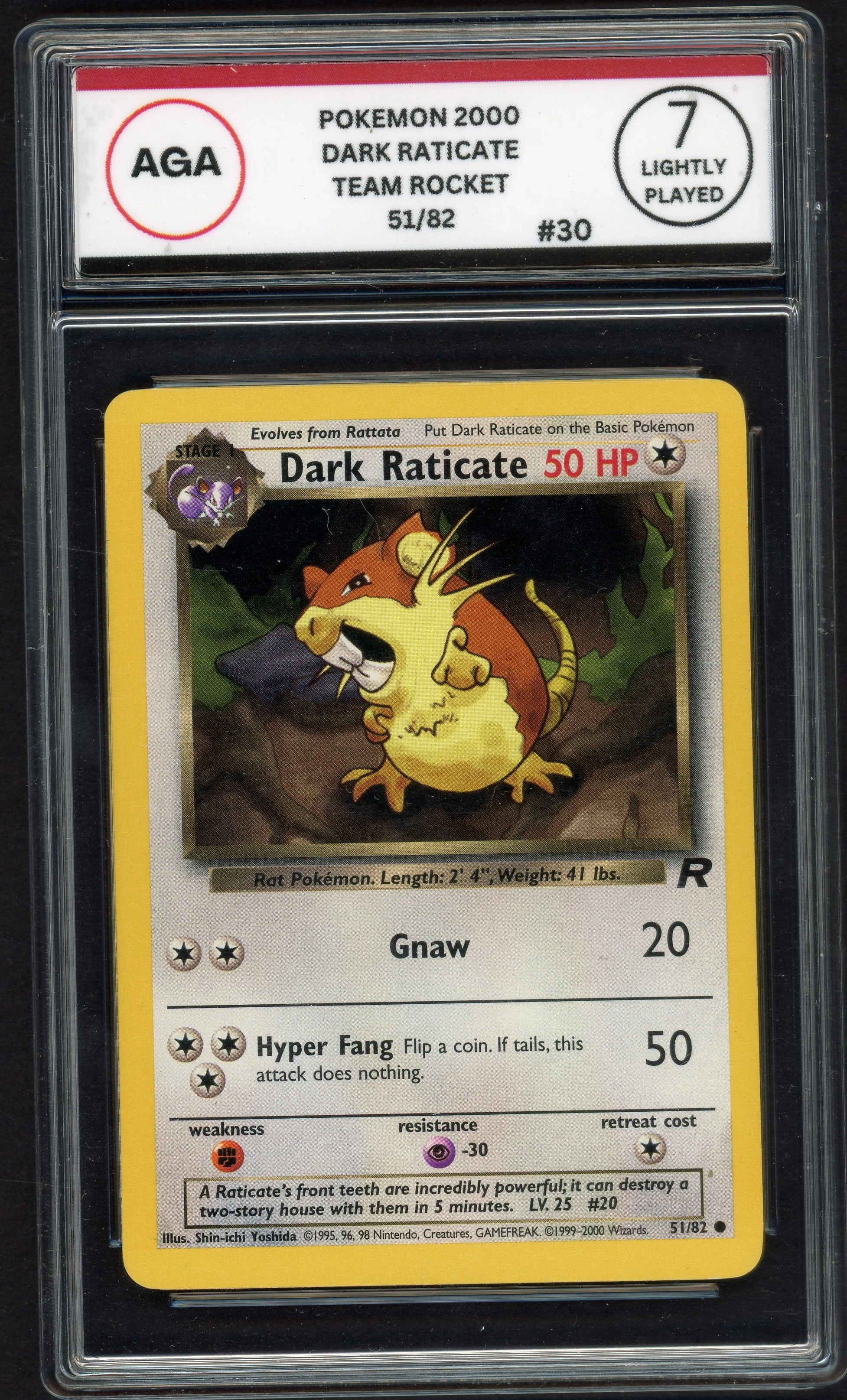 aga-darkraticate front
