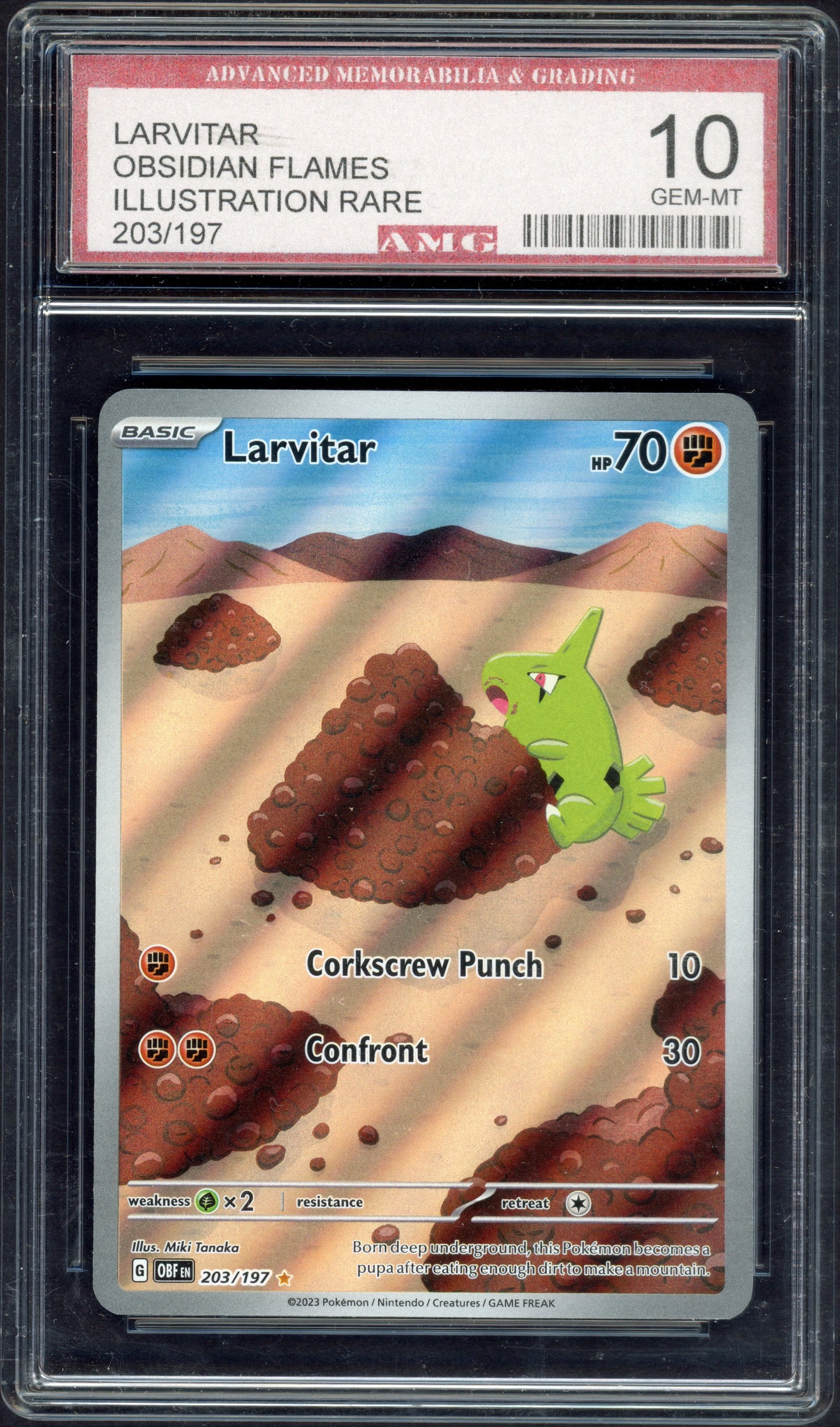 amg-larvitar front
