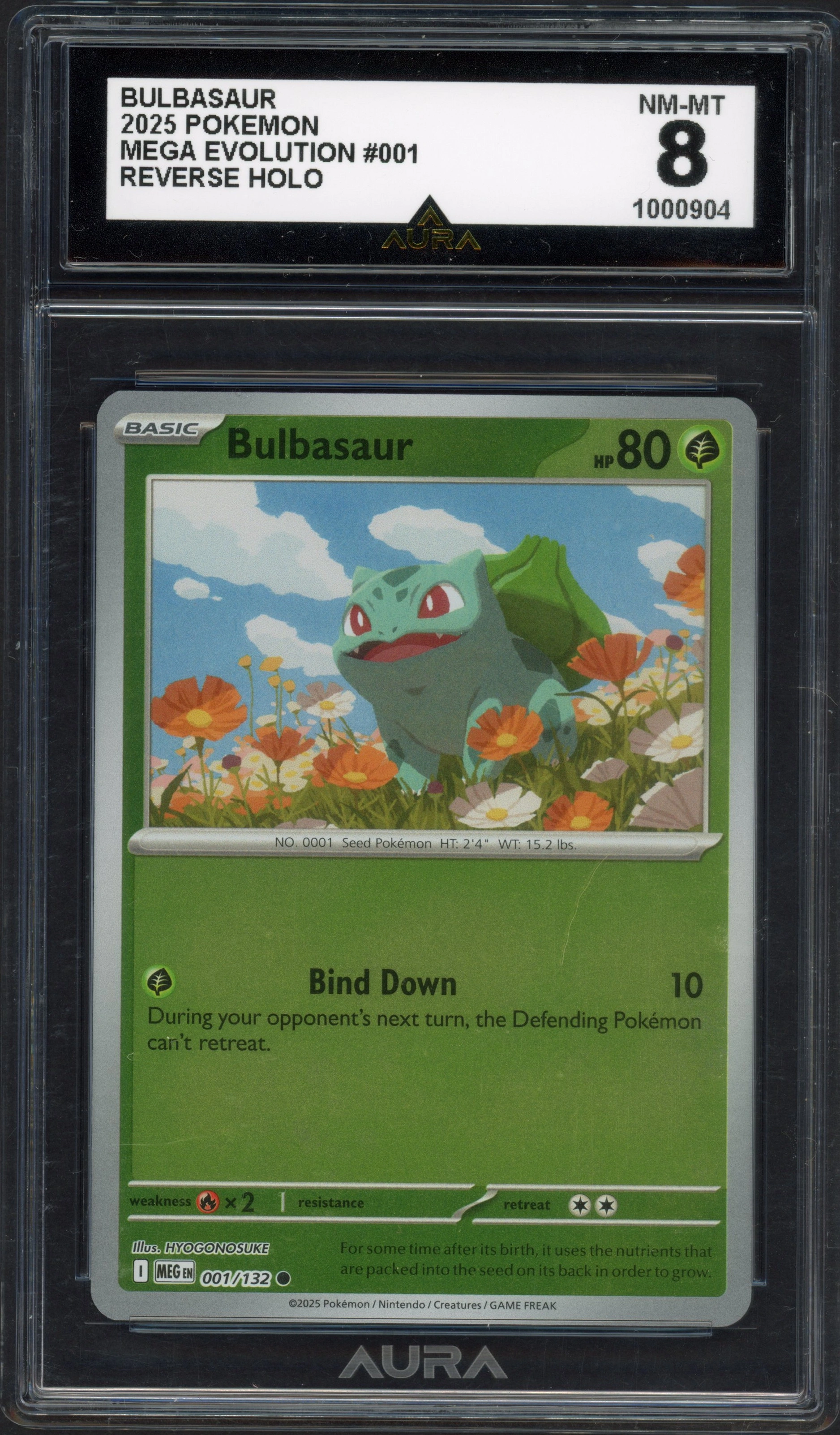 aura-bulbasaur front