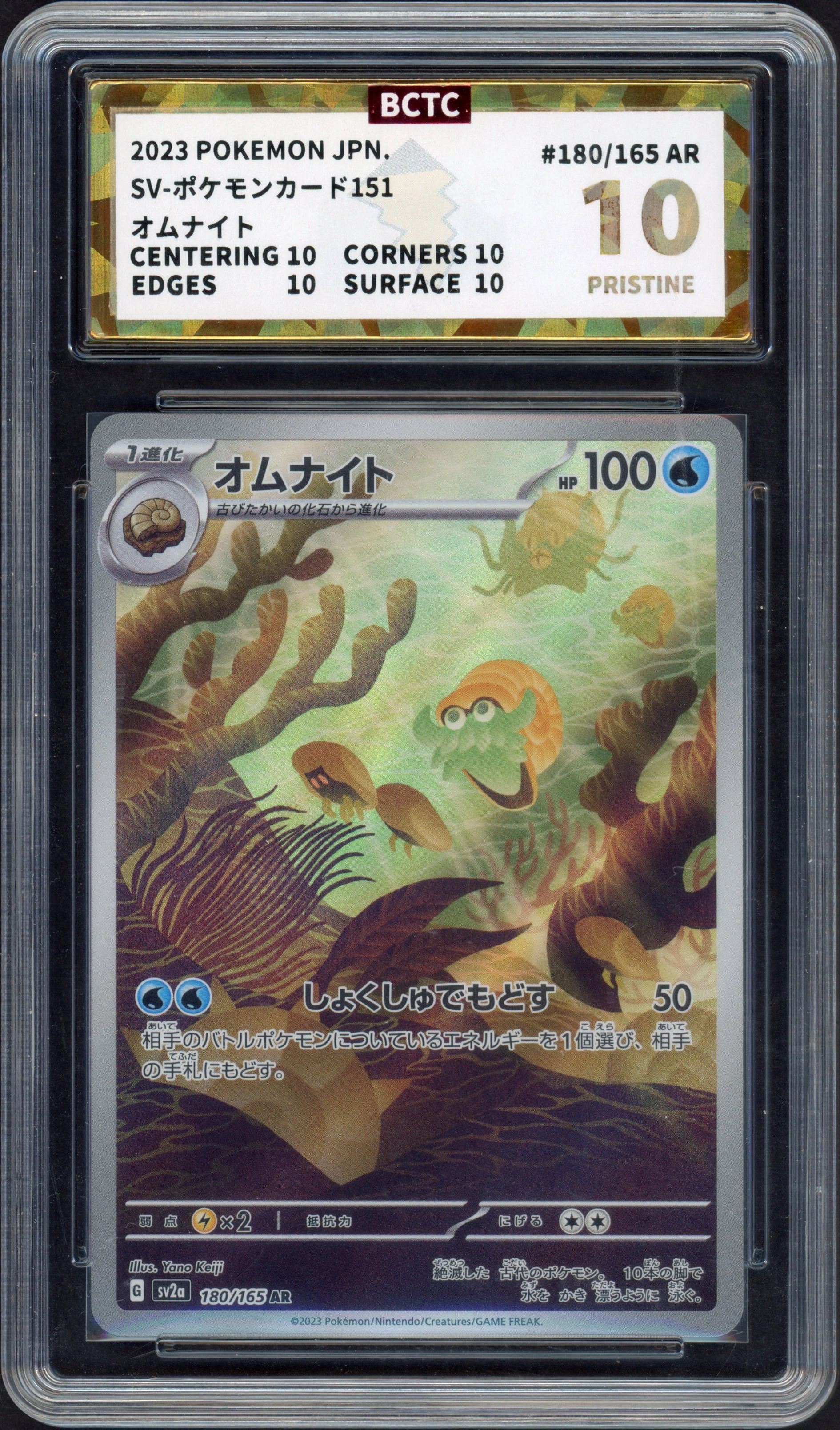bctc-omanyte front
