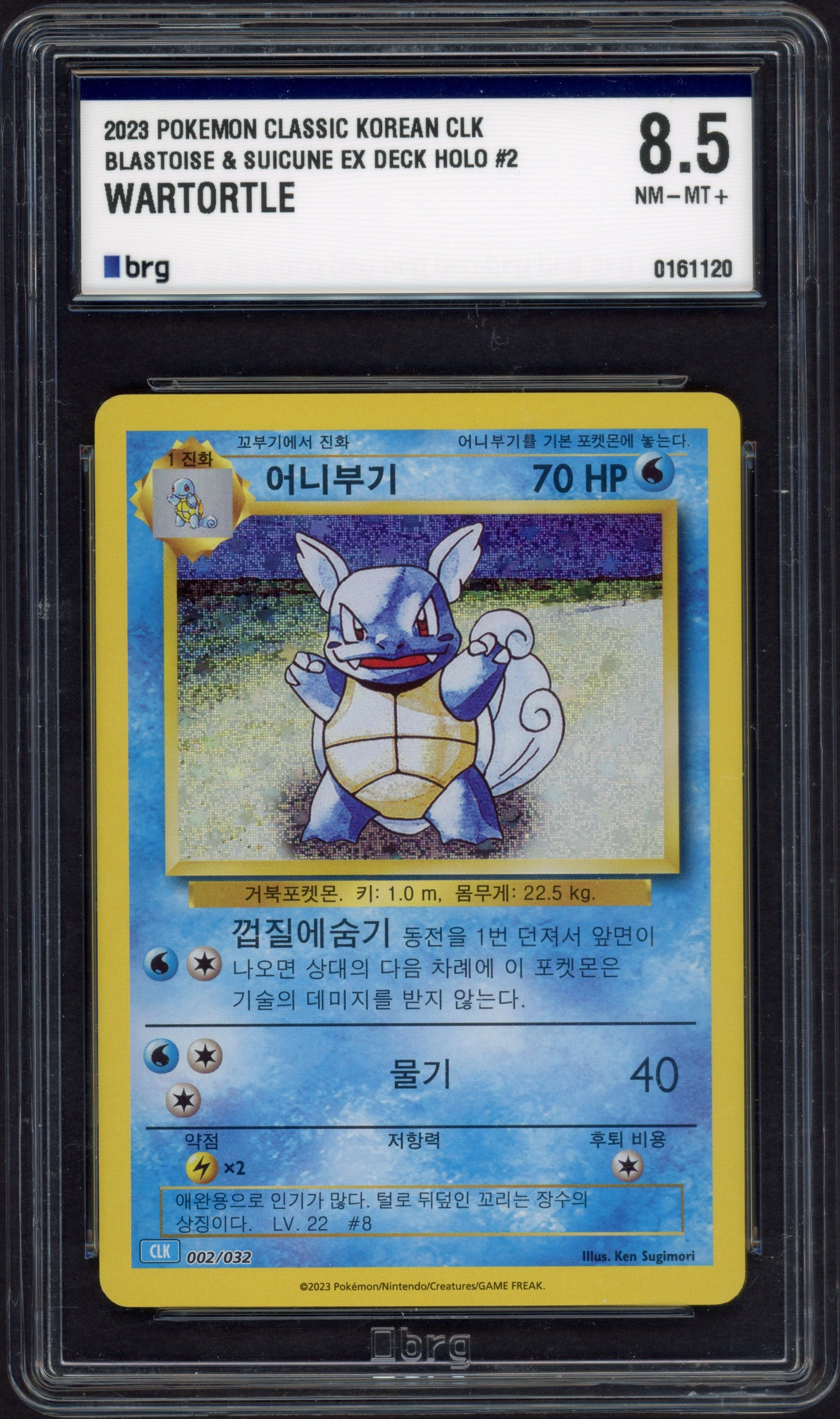 brg-tortle front