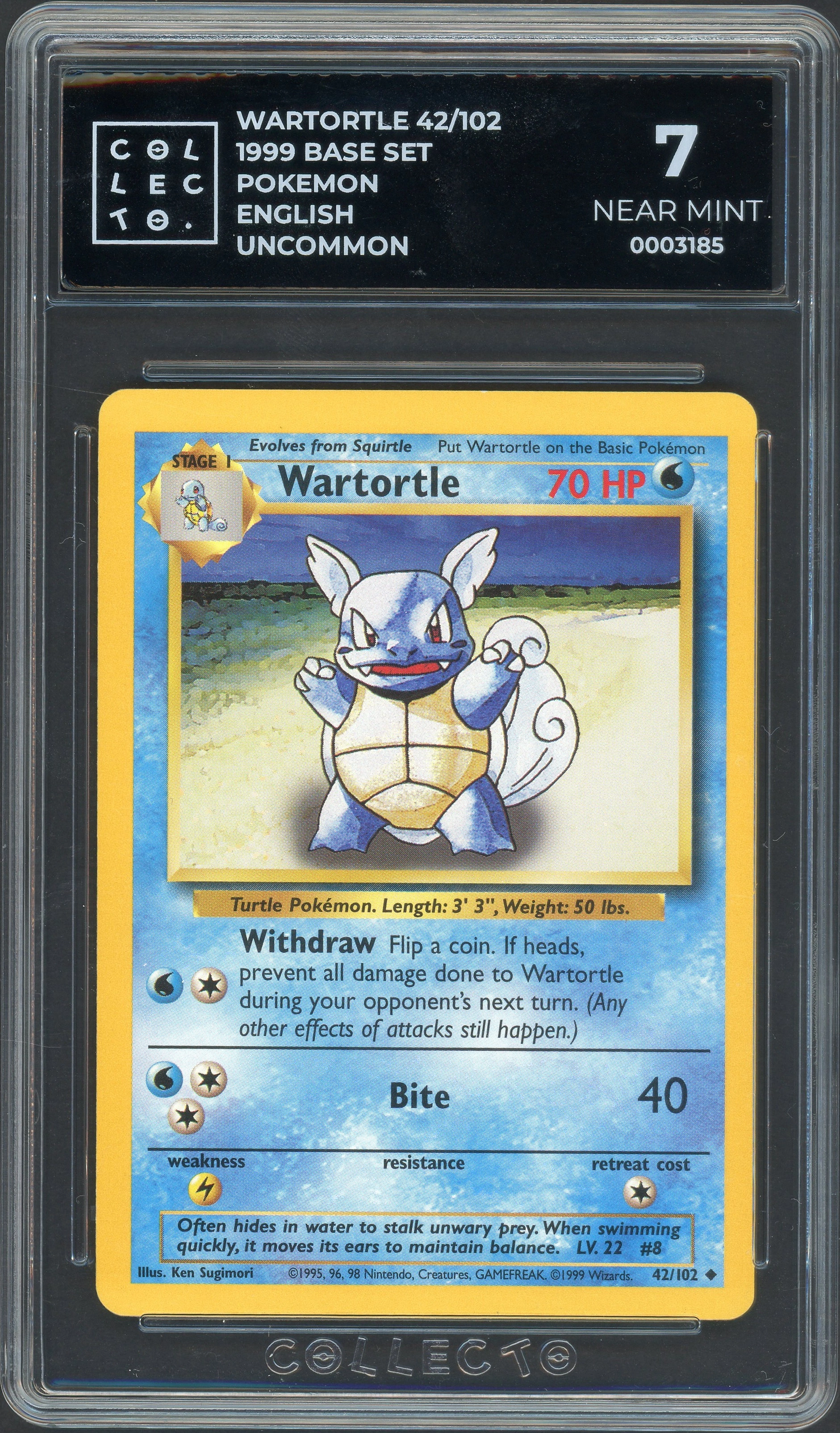 collecto-wartortle front
