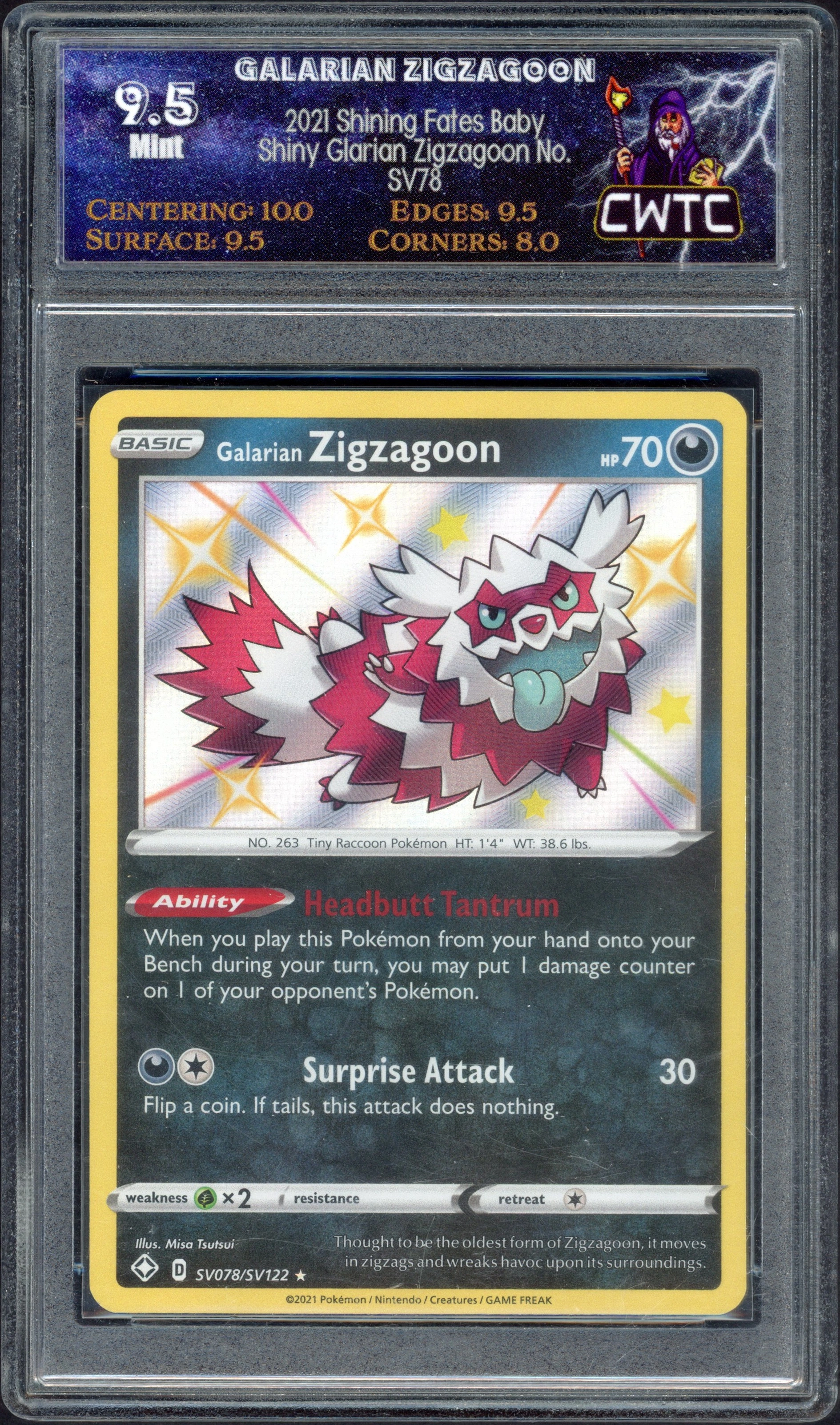 cwtc-zigzagoon front