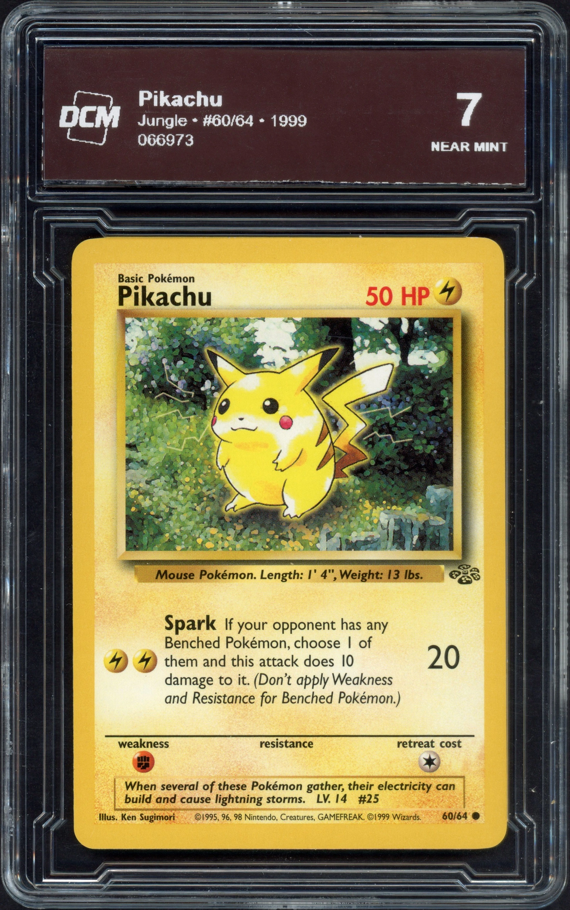dcm-pikachu front