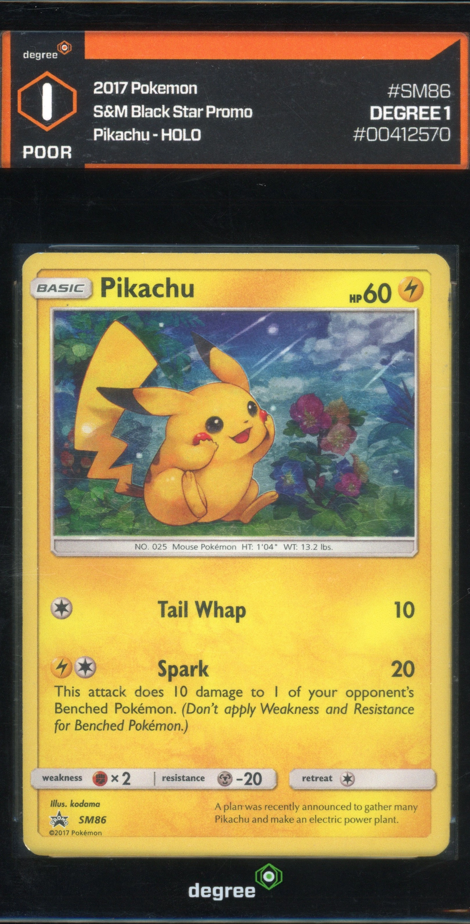 degree-pikachu front