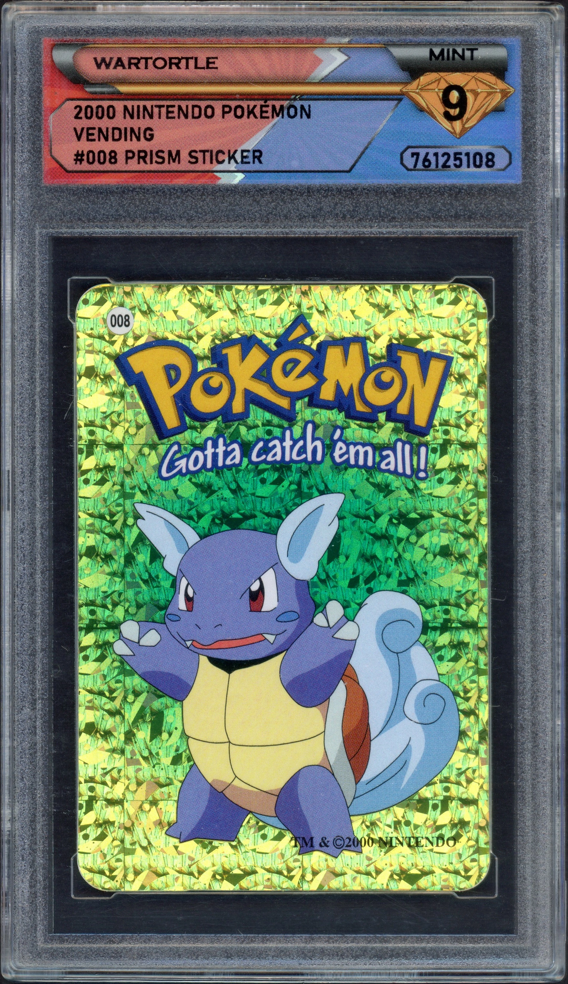 dsg-wartortle front
