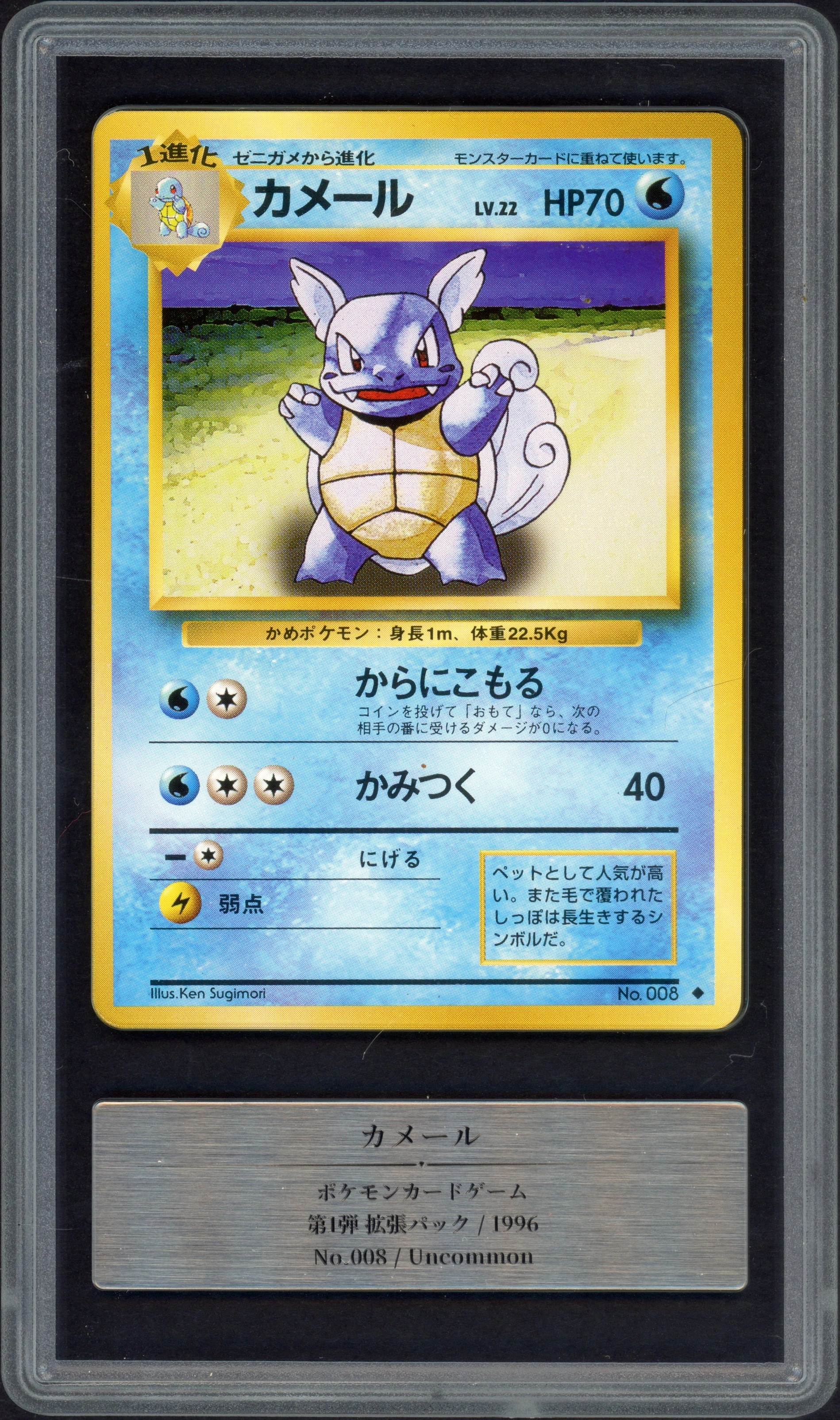 gemix-wartortle front