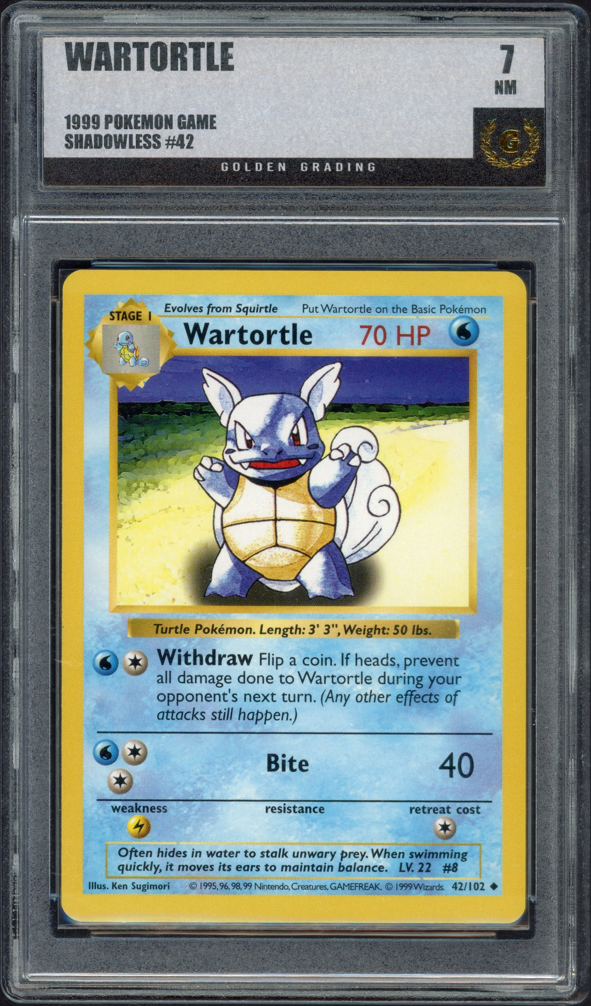 golden-wartortle front