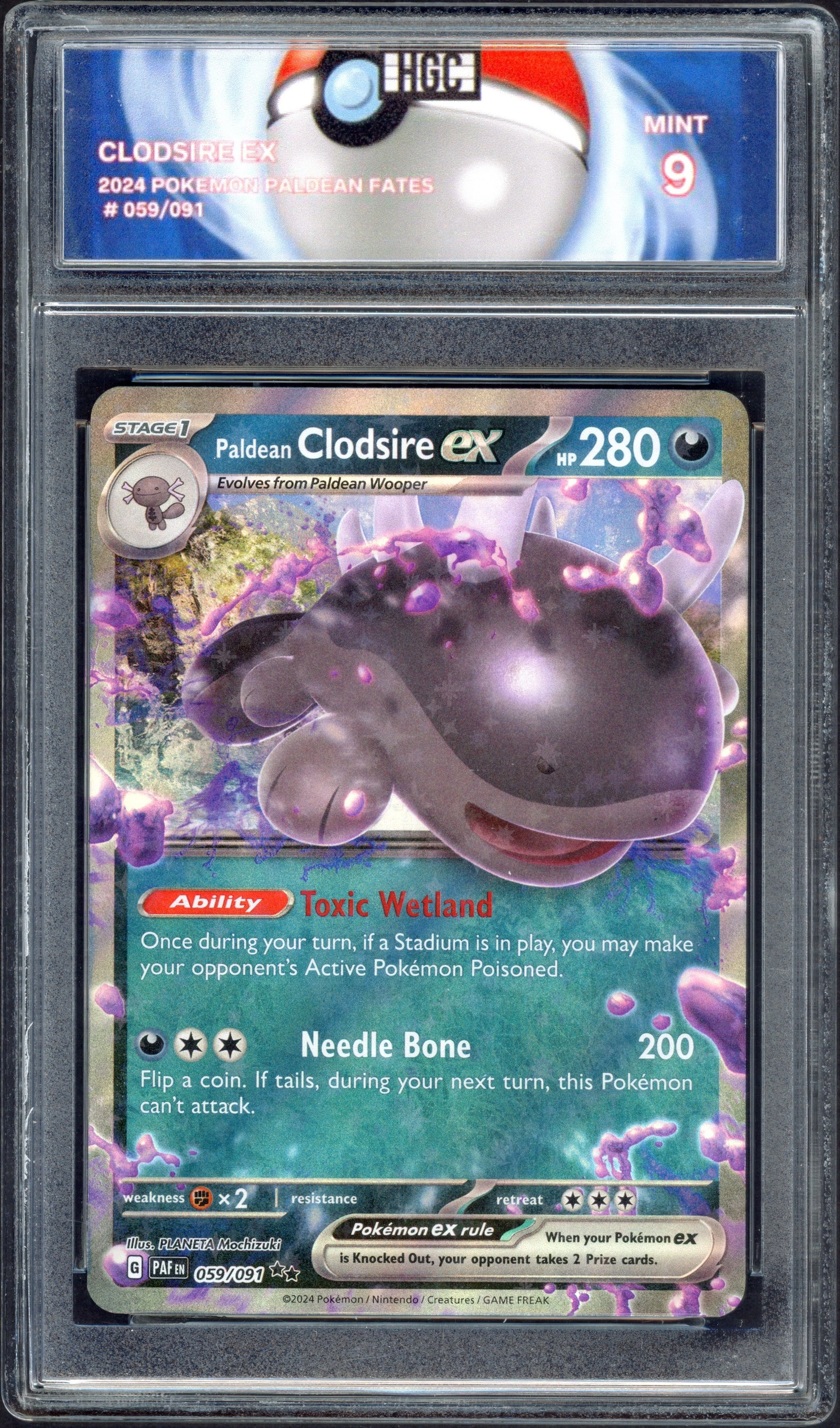 hgc-clodsire front