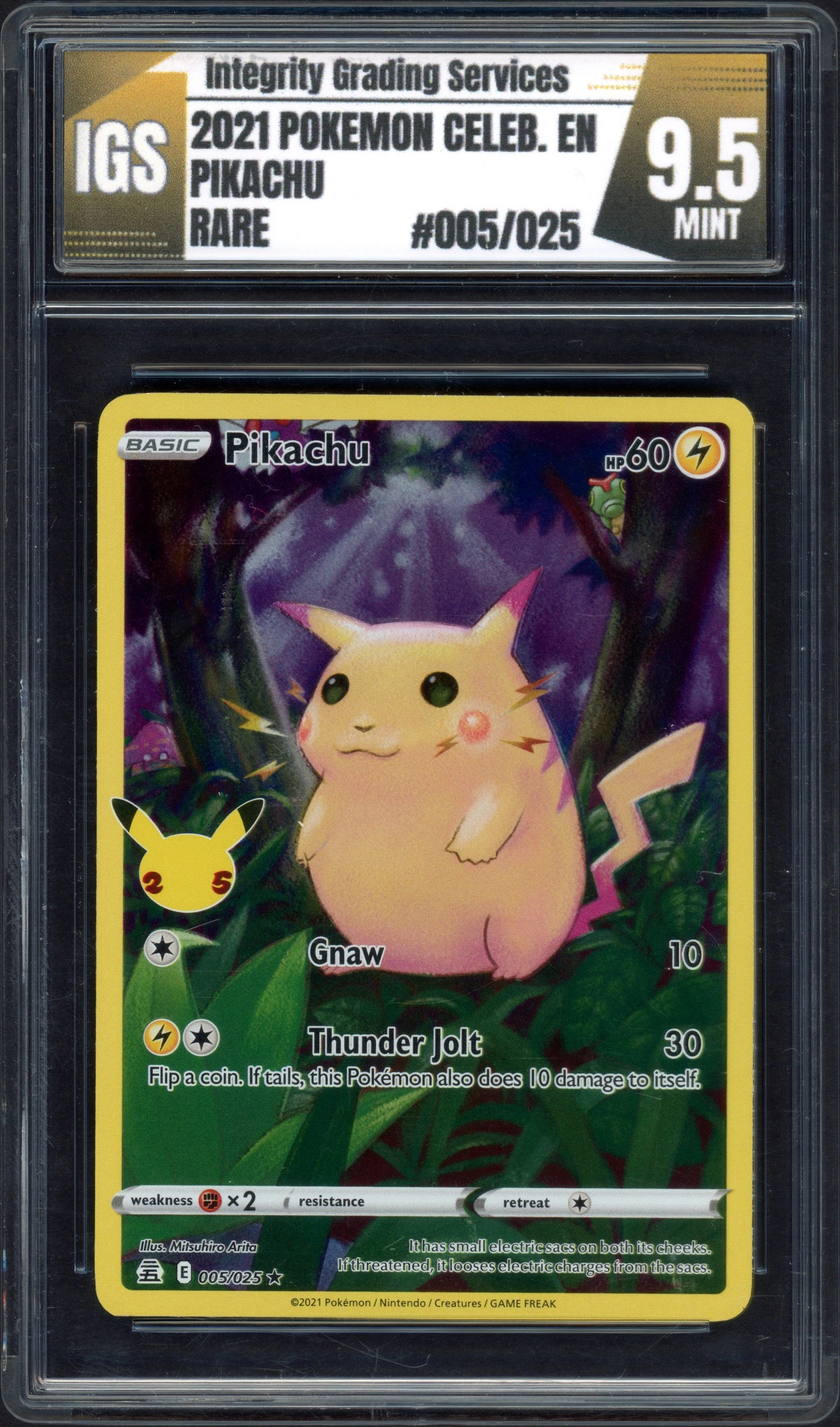 igs-pikachu front
