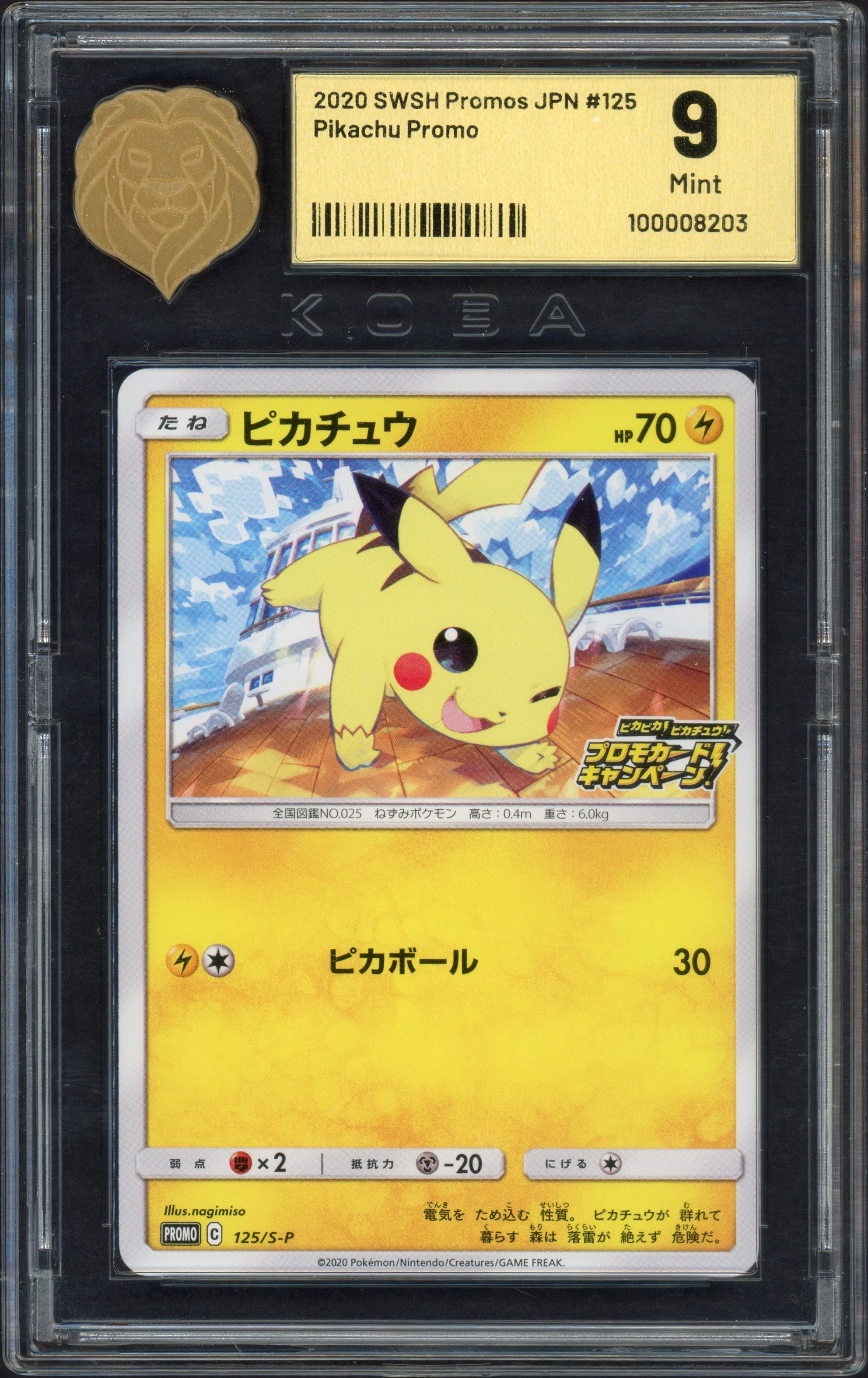 koba-pikachu front
