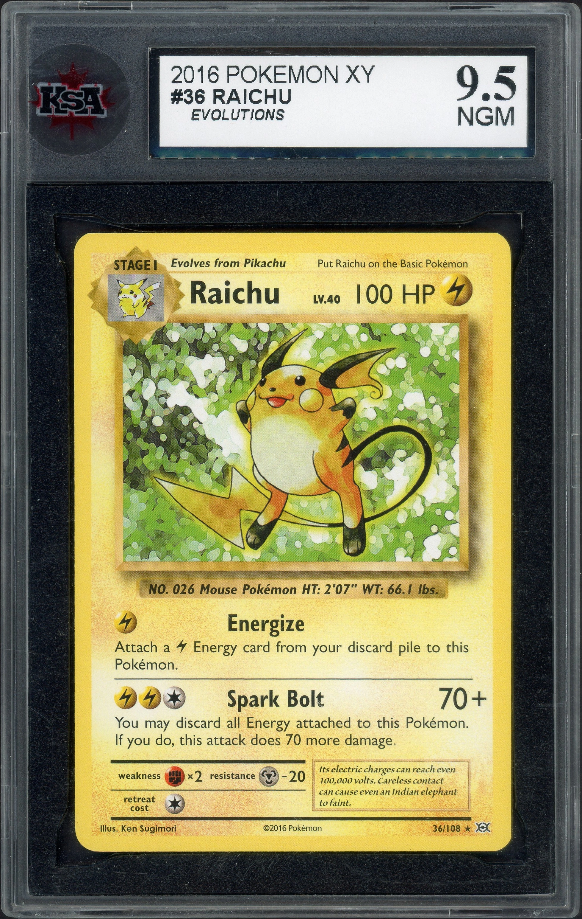 ksa-raichu front