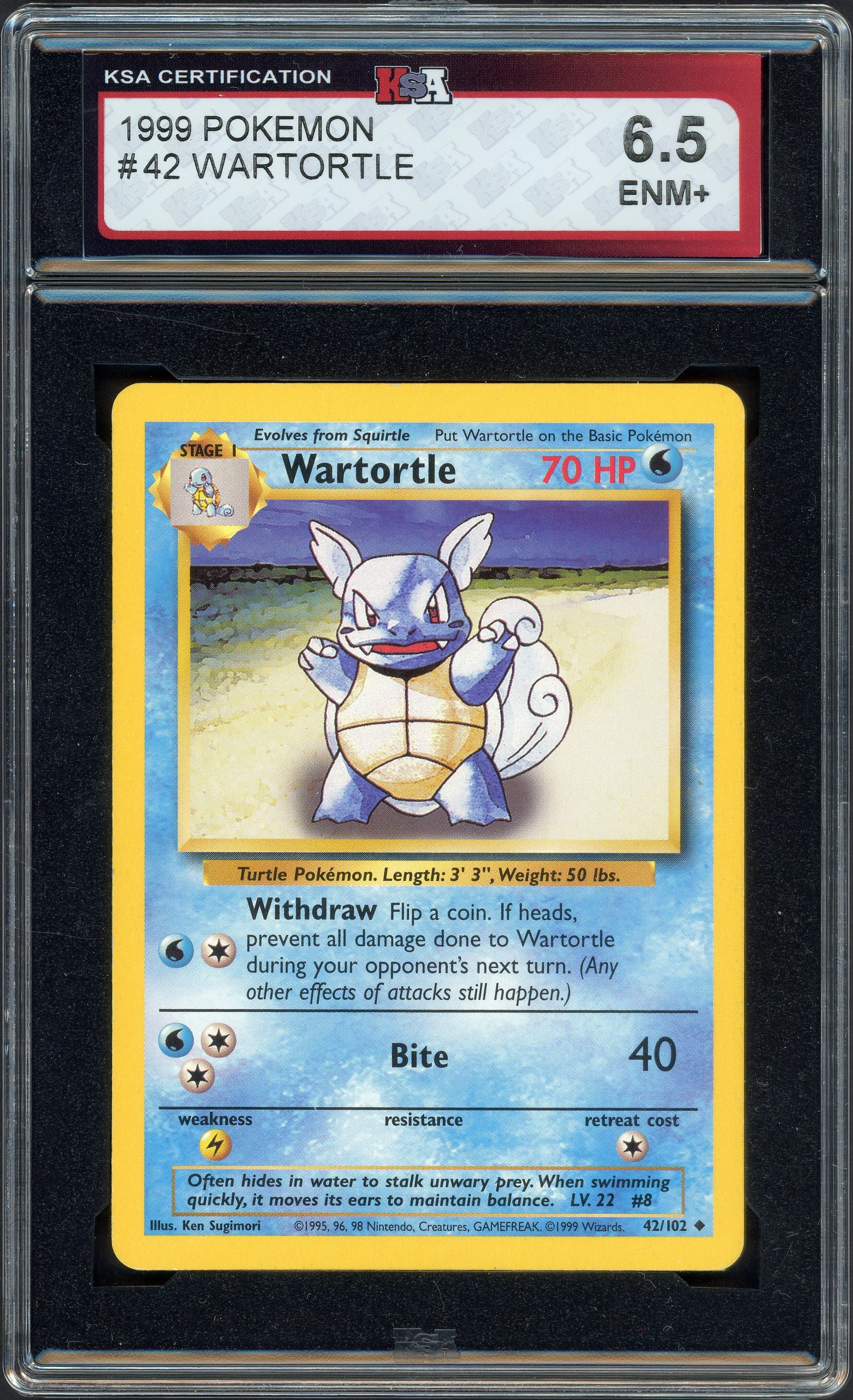 ksa-wartortle front
