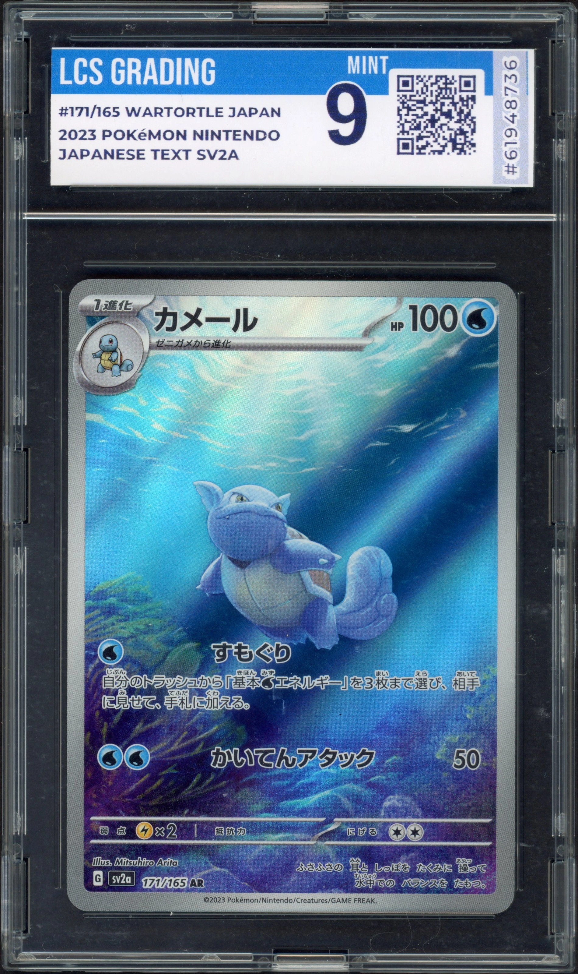 lcs-wartortle front