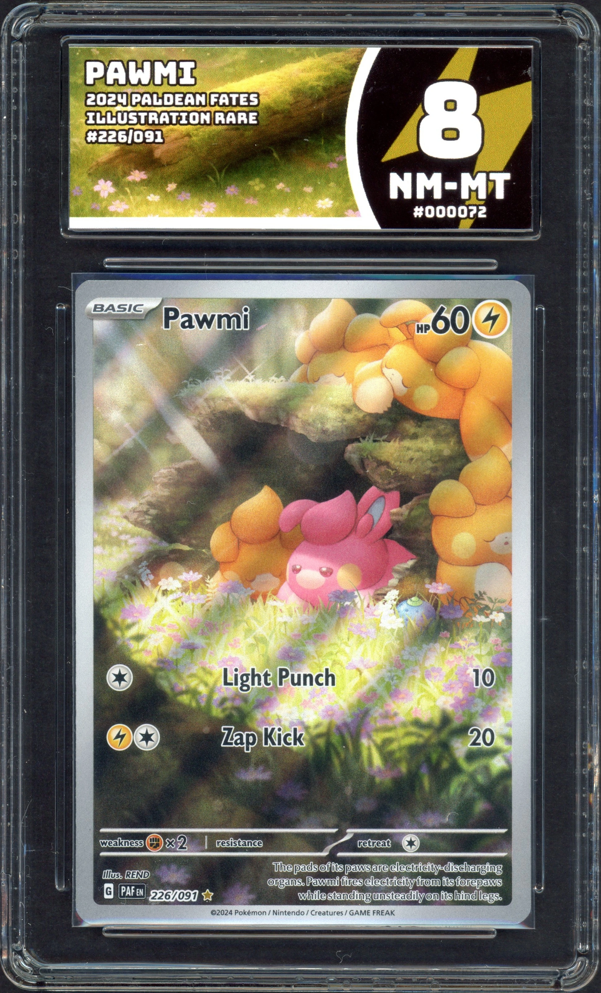 legacy-pawmi front