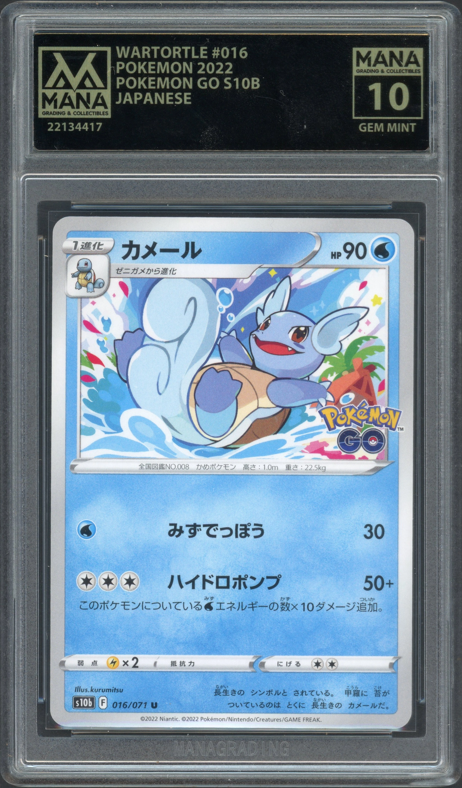 mana-wartortle front
