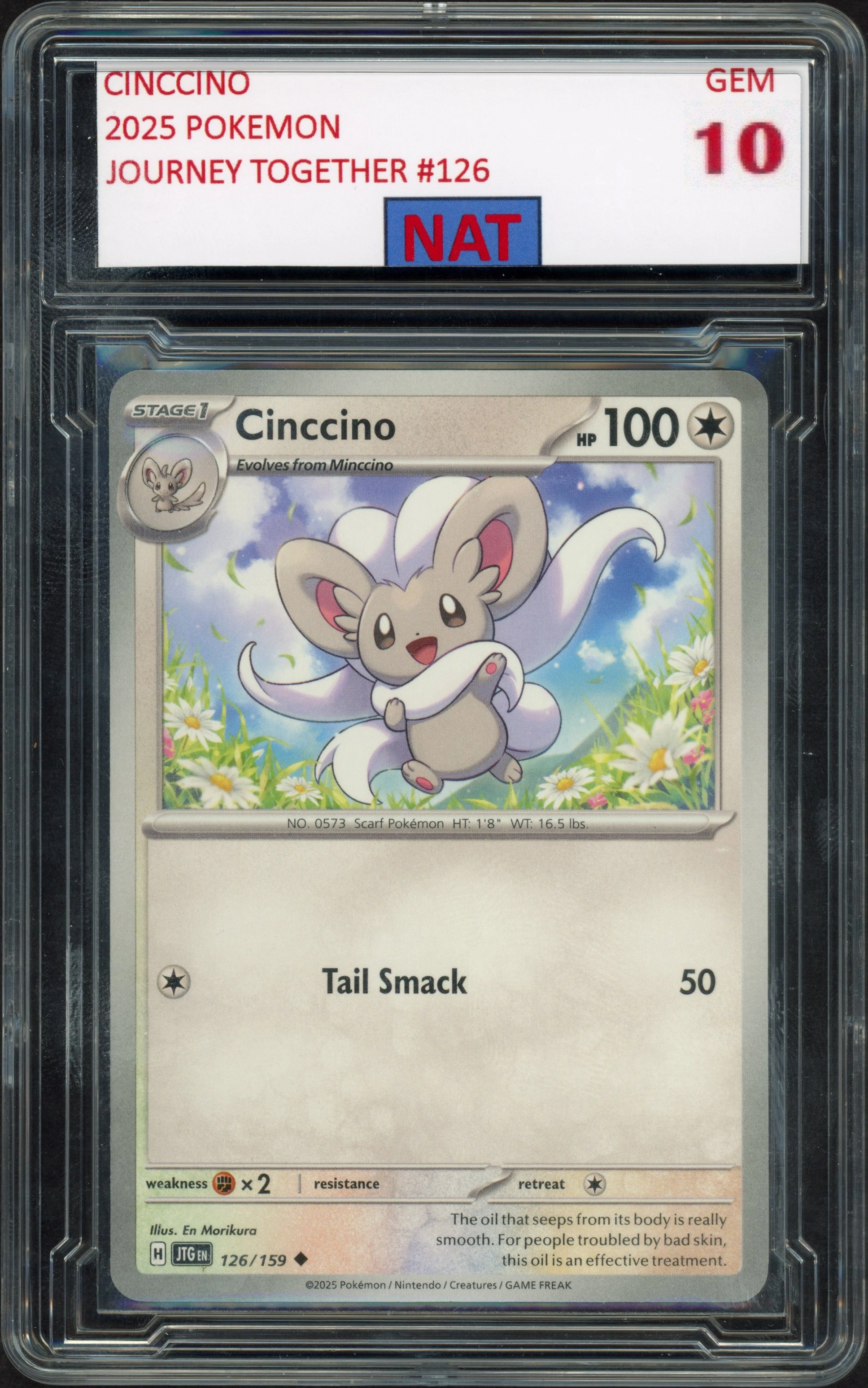 nat-cinccino front