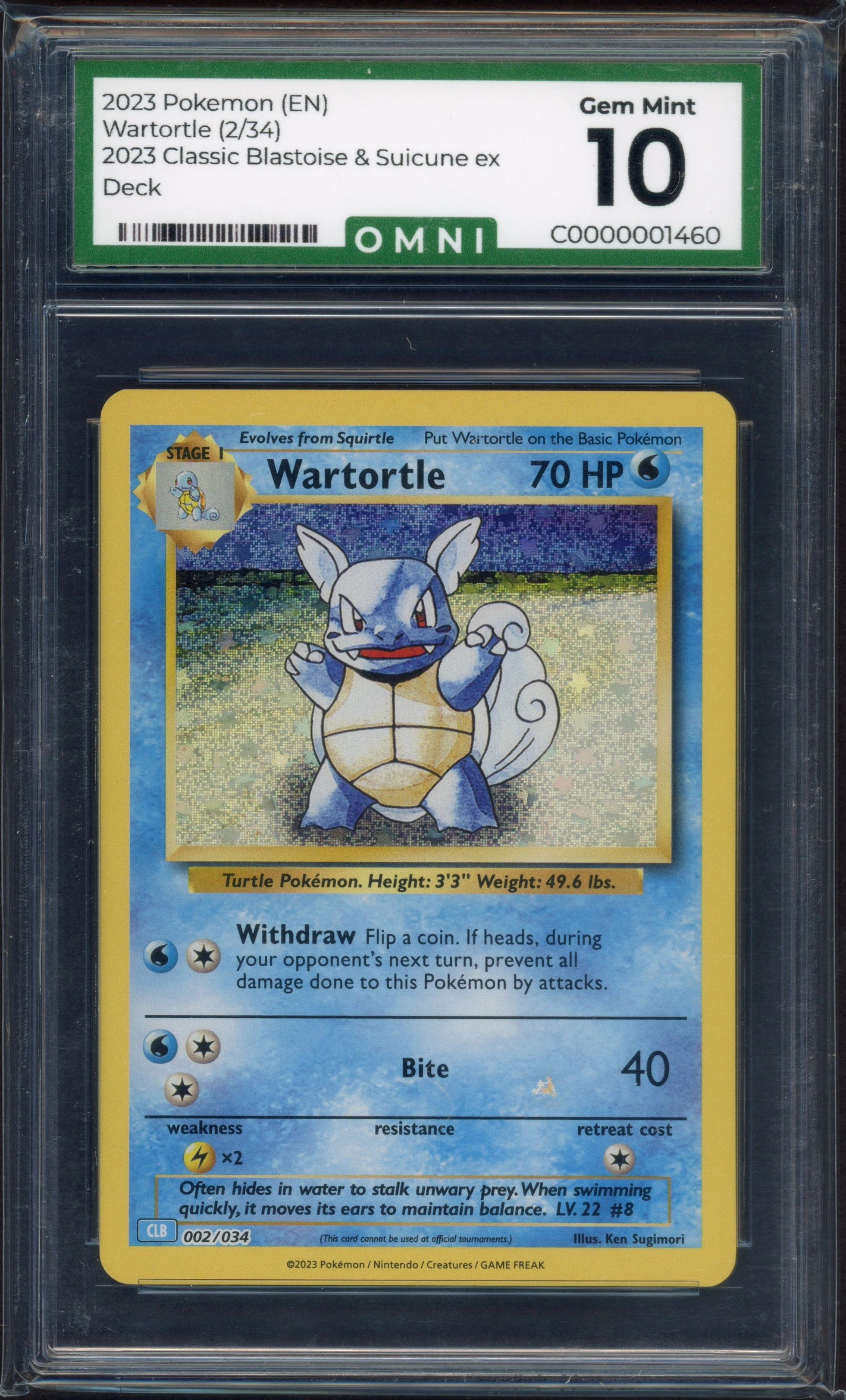 omni-wartortle front