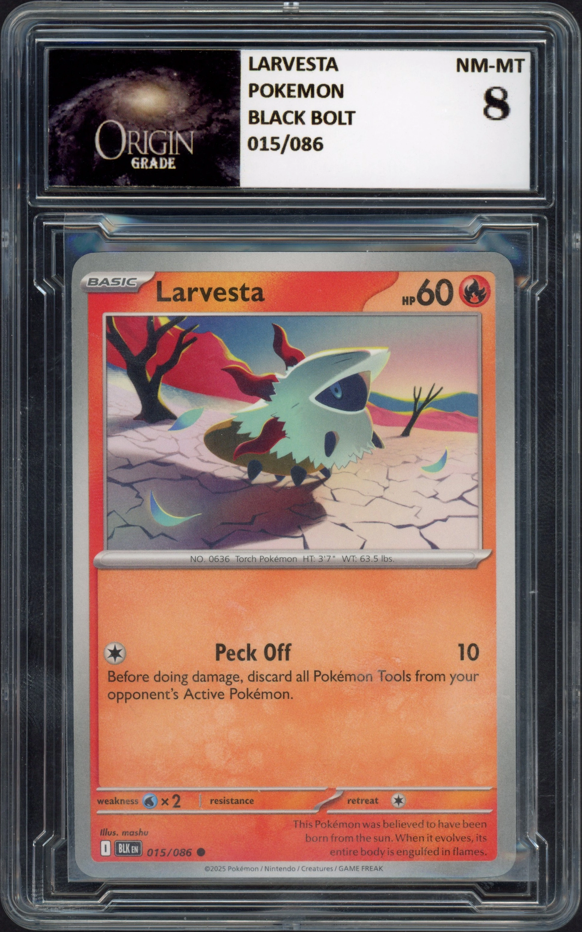 origin-larvesta8 front