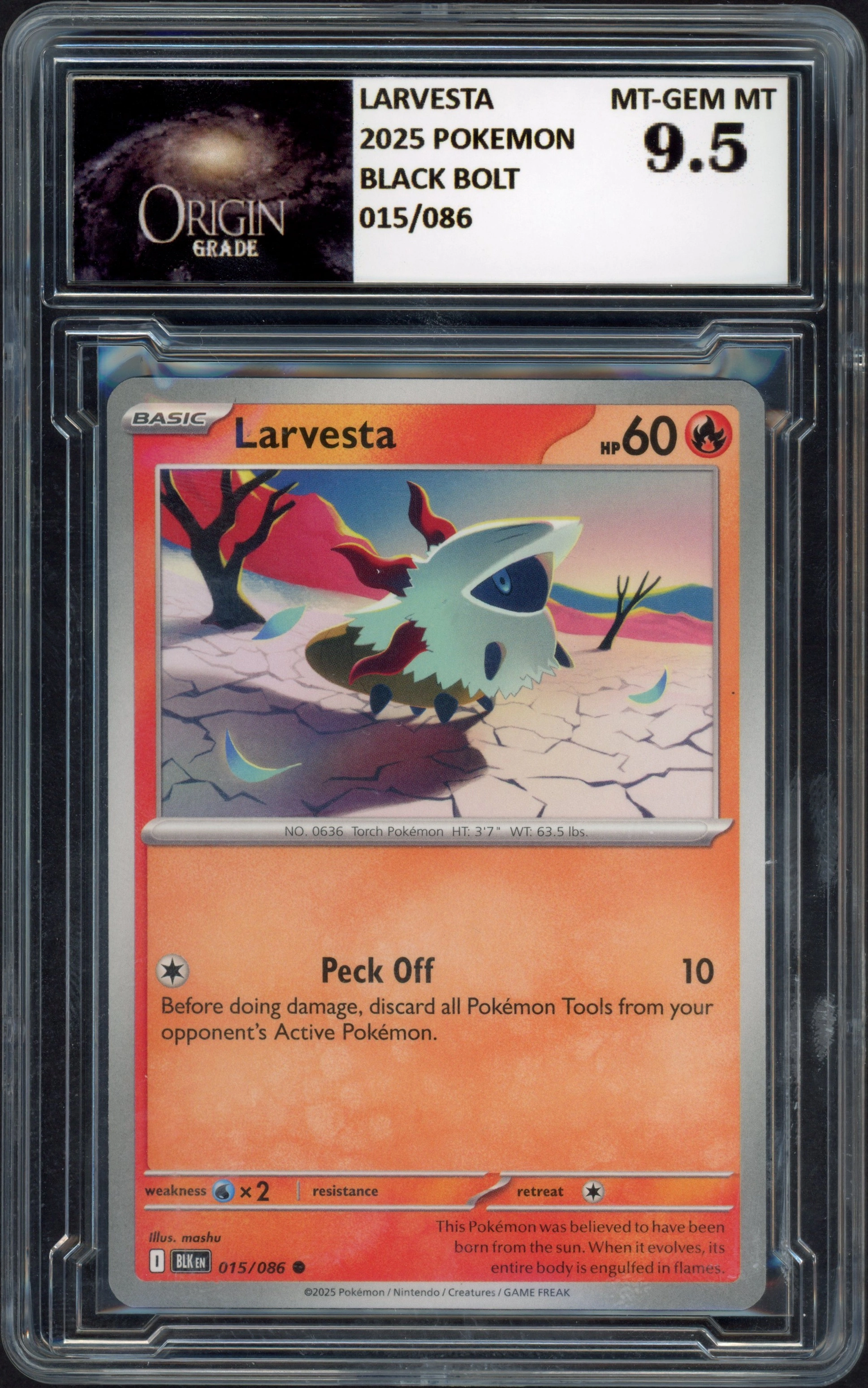 origin-larvesta9.5 front