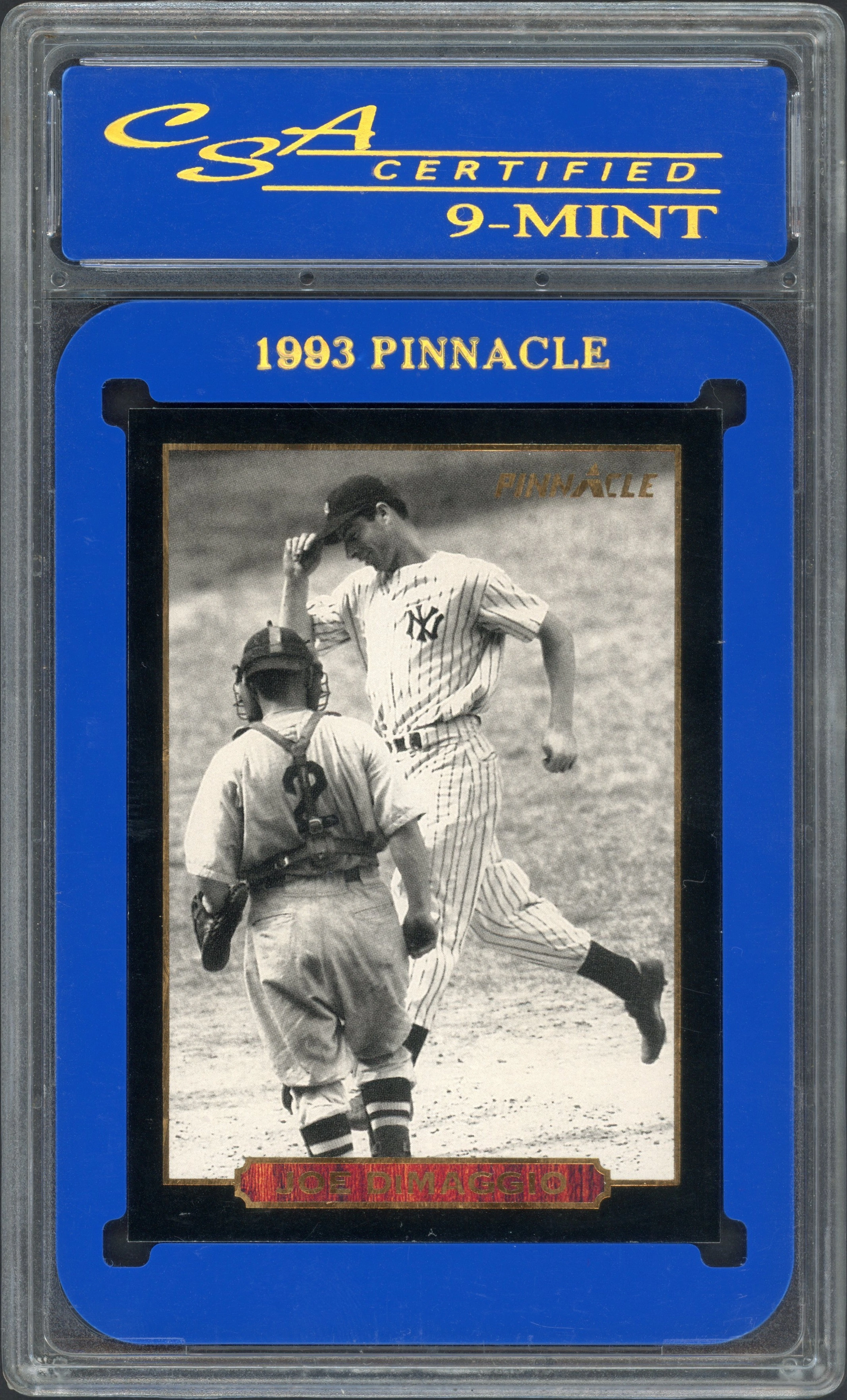 pinnacle-dimaggio front