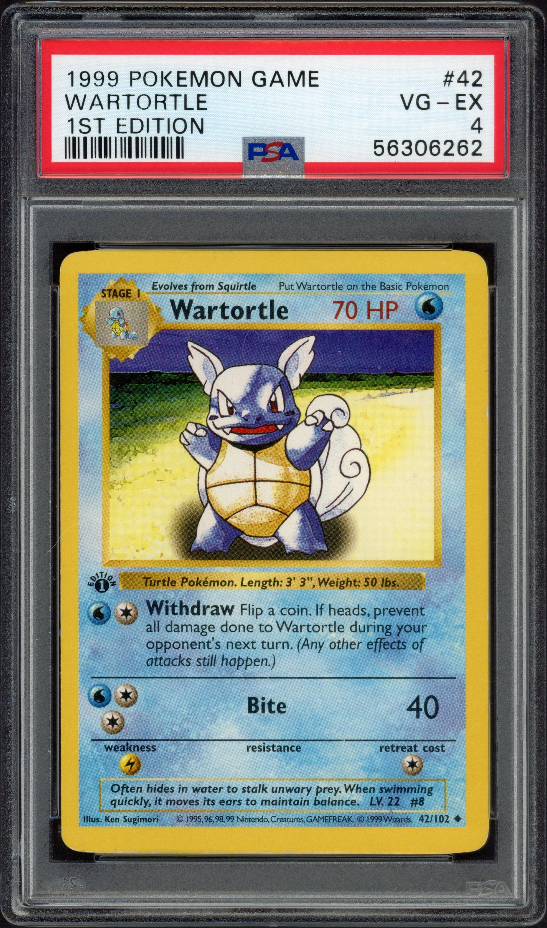 psa-1stwartortle front