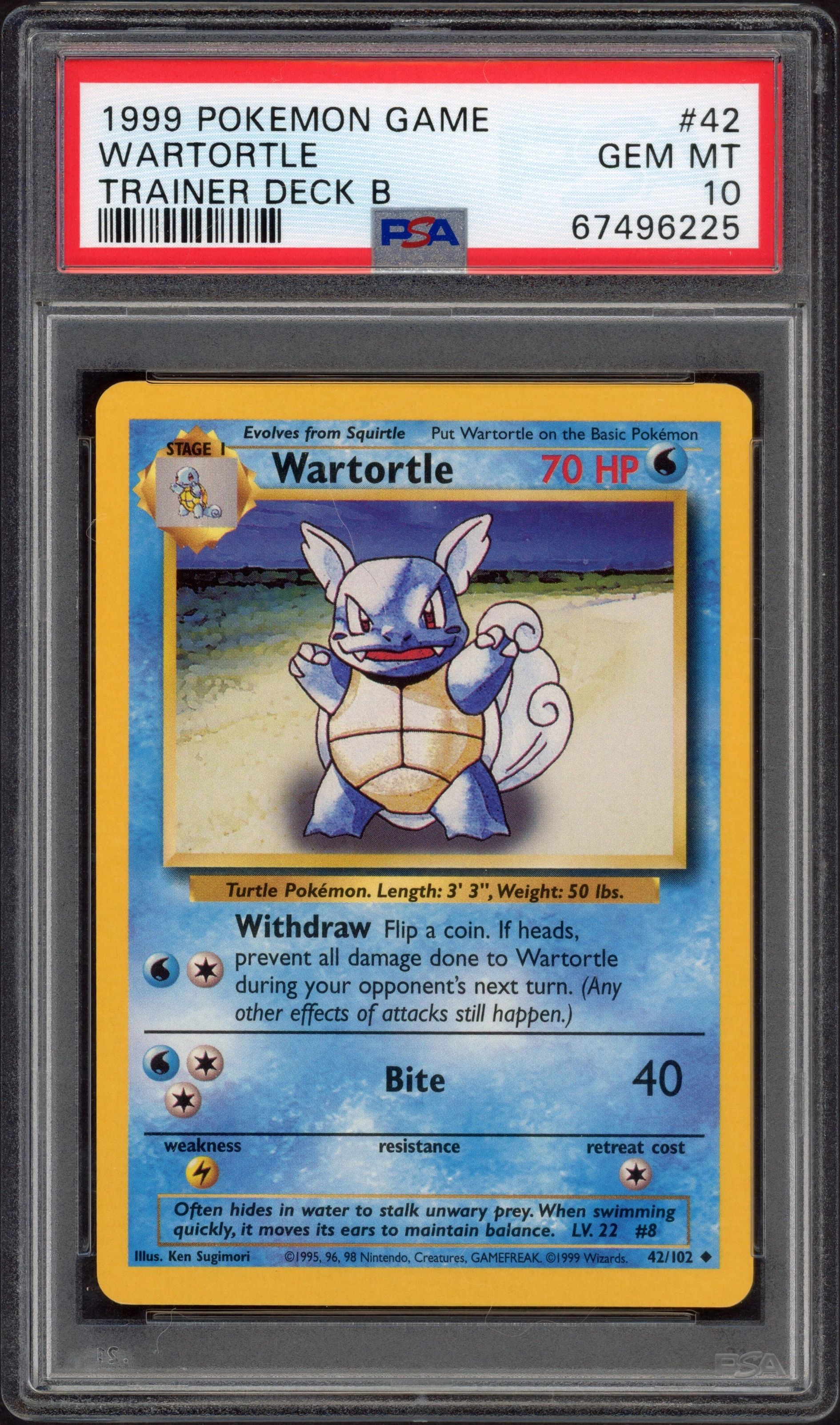 psa-deckwartortle front