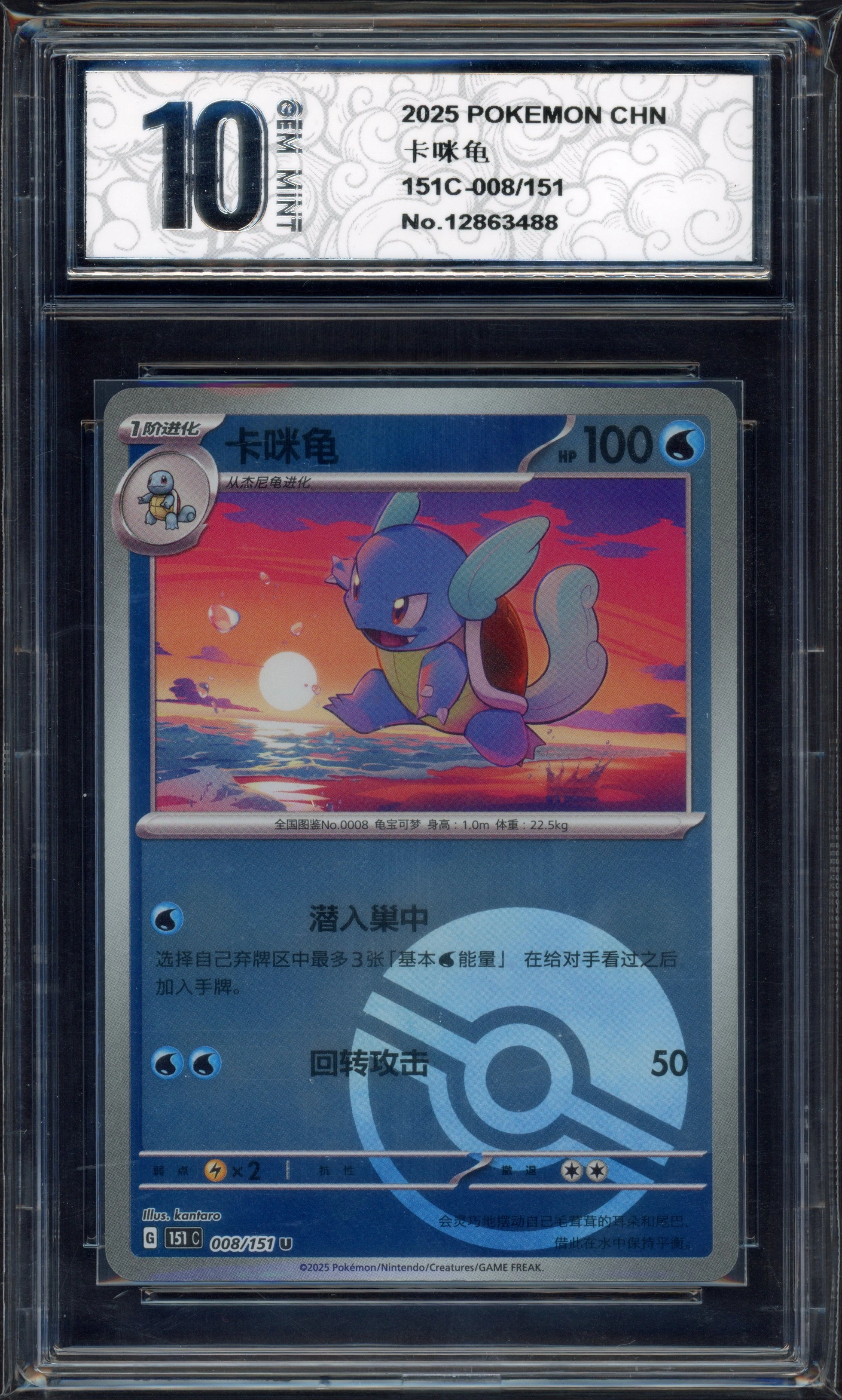 pyxis-wartortle front