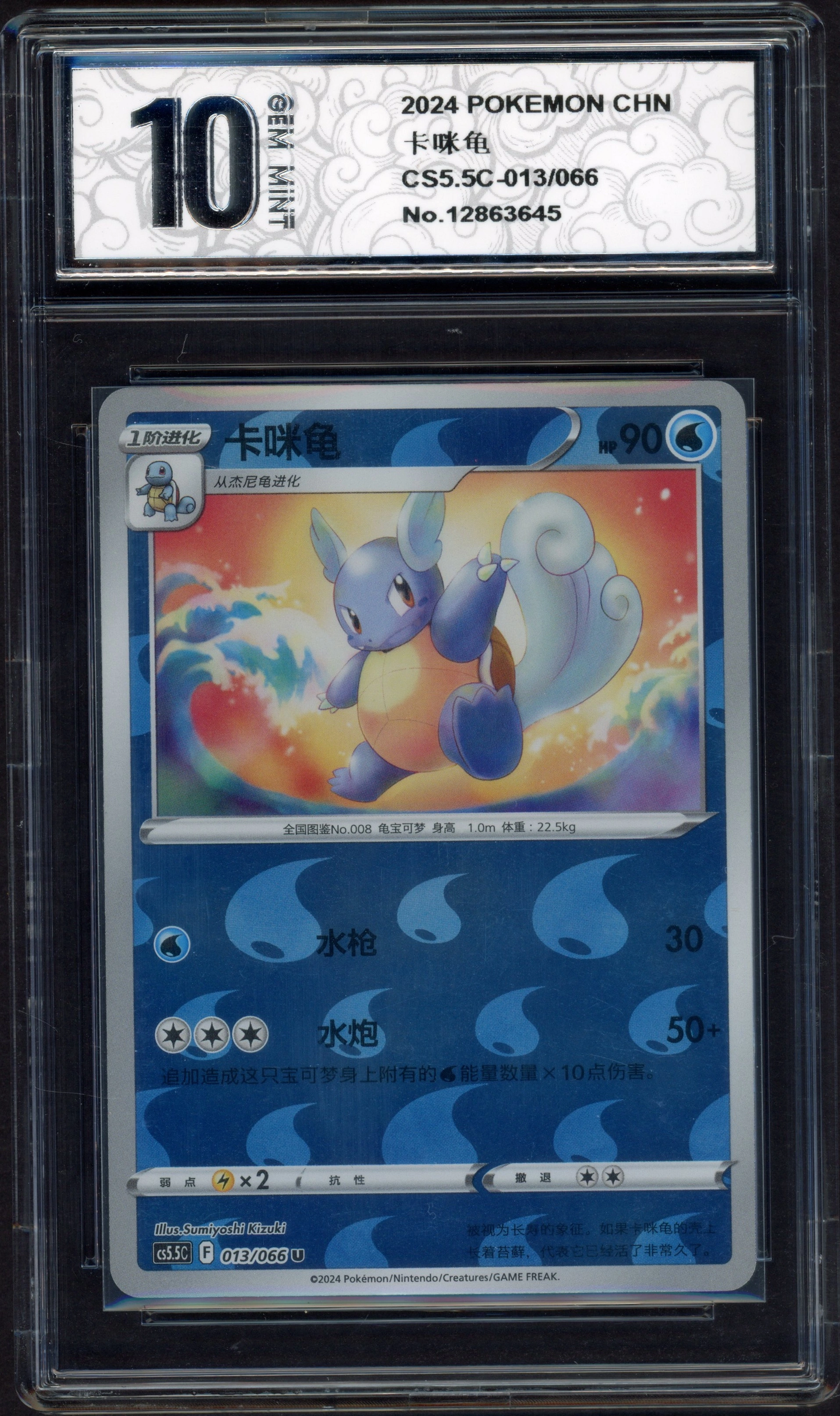 pyxis-wartortle2 front