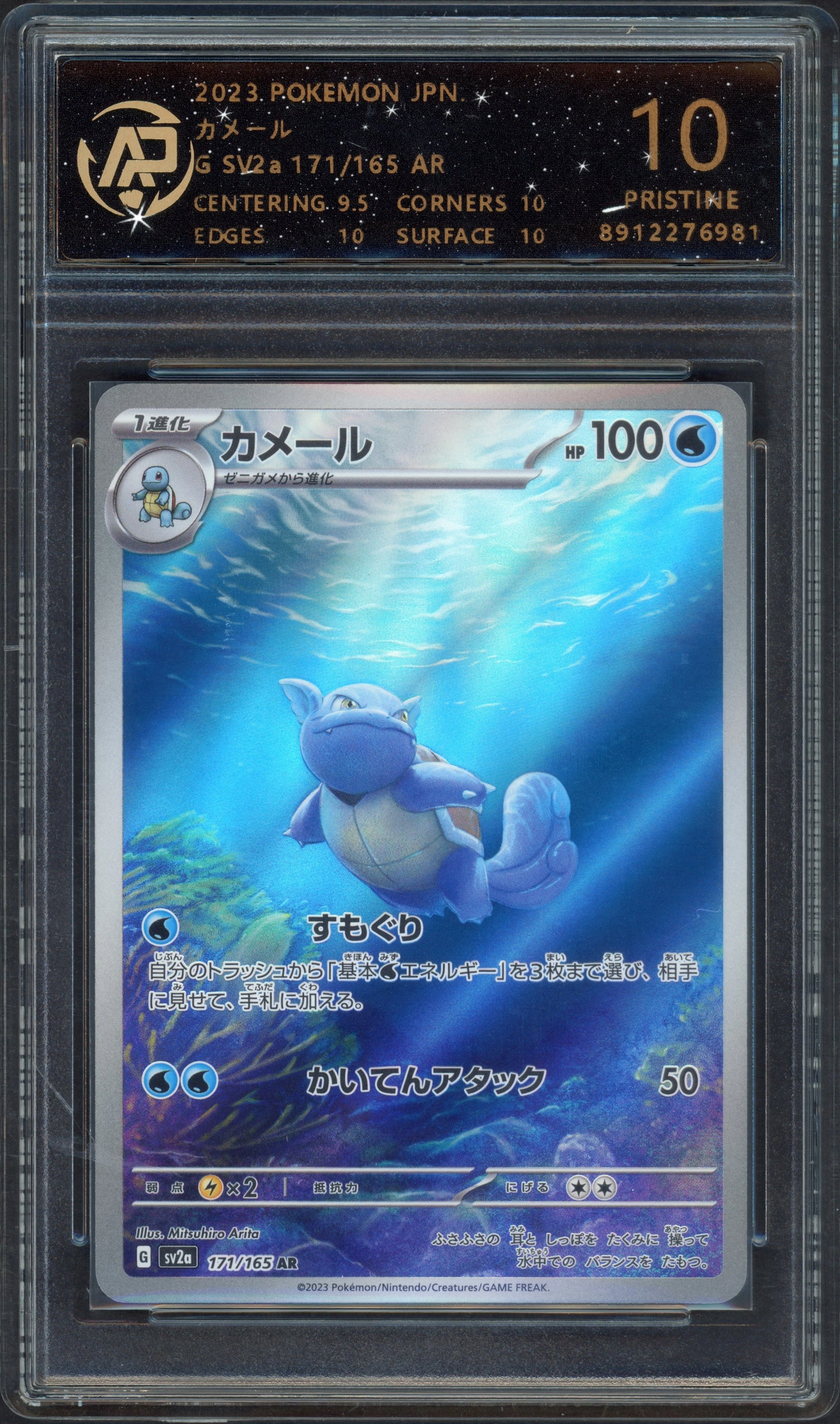 rpa-tortle front