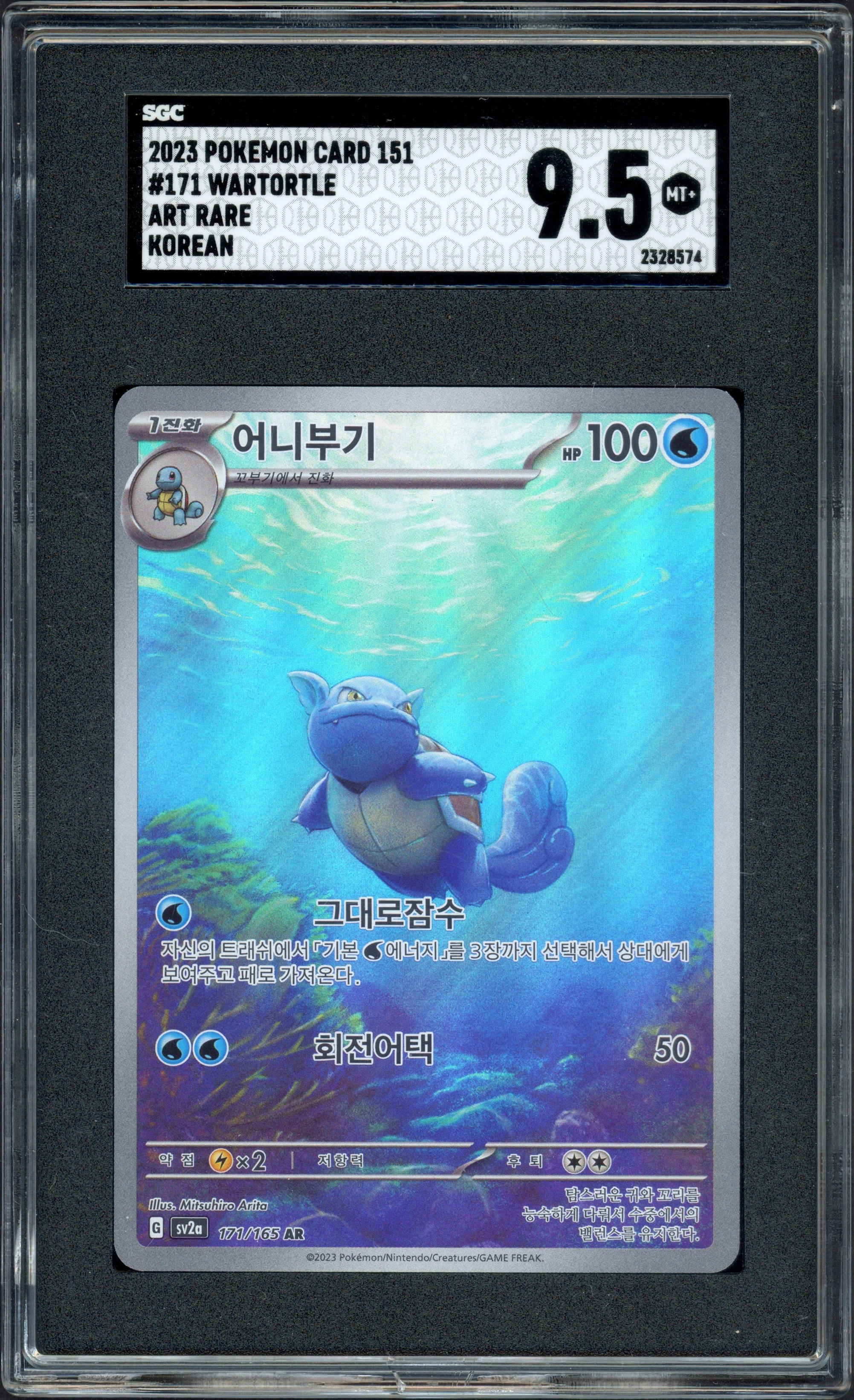 sgc-krtortle front