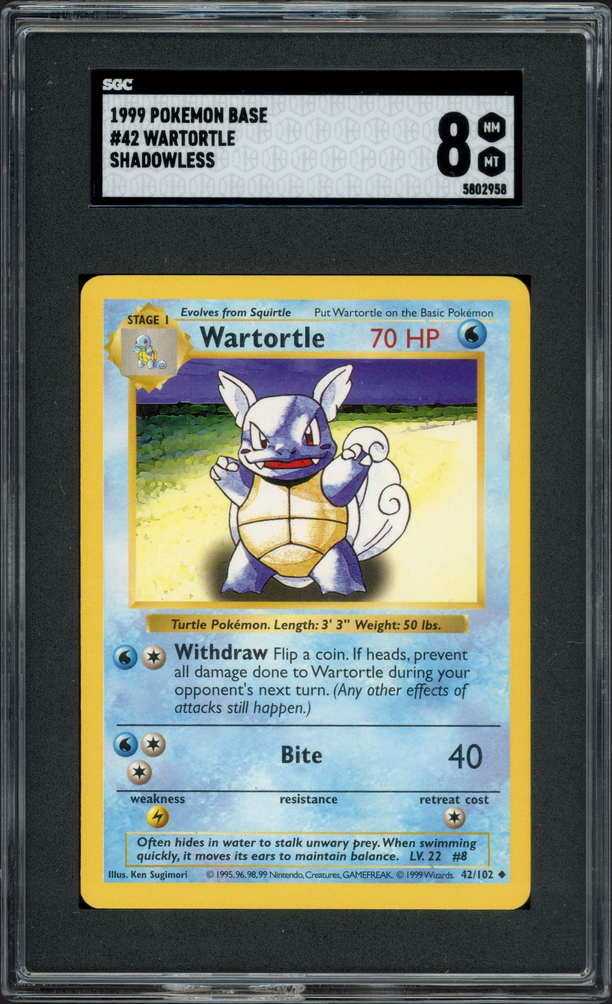 sgc-shadowlesstortle front