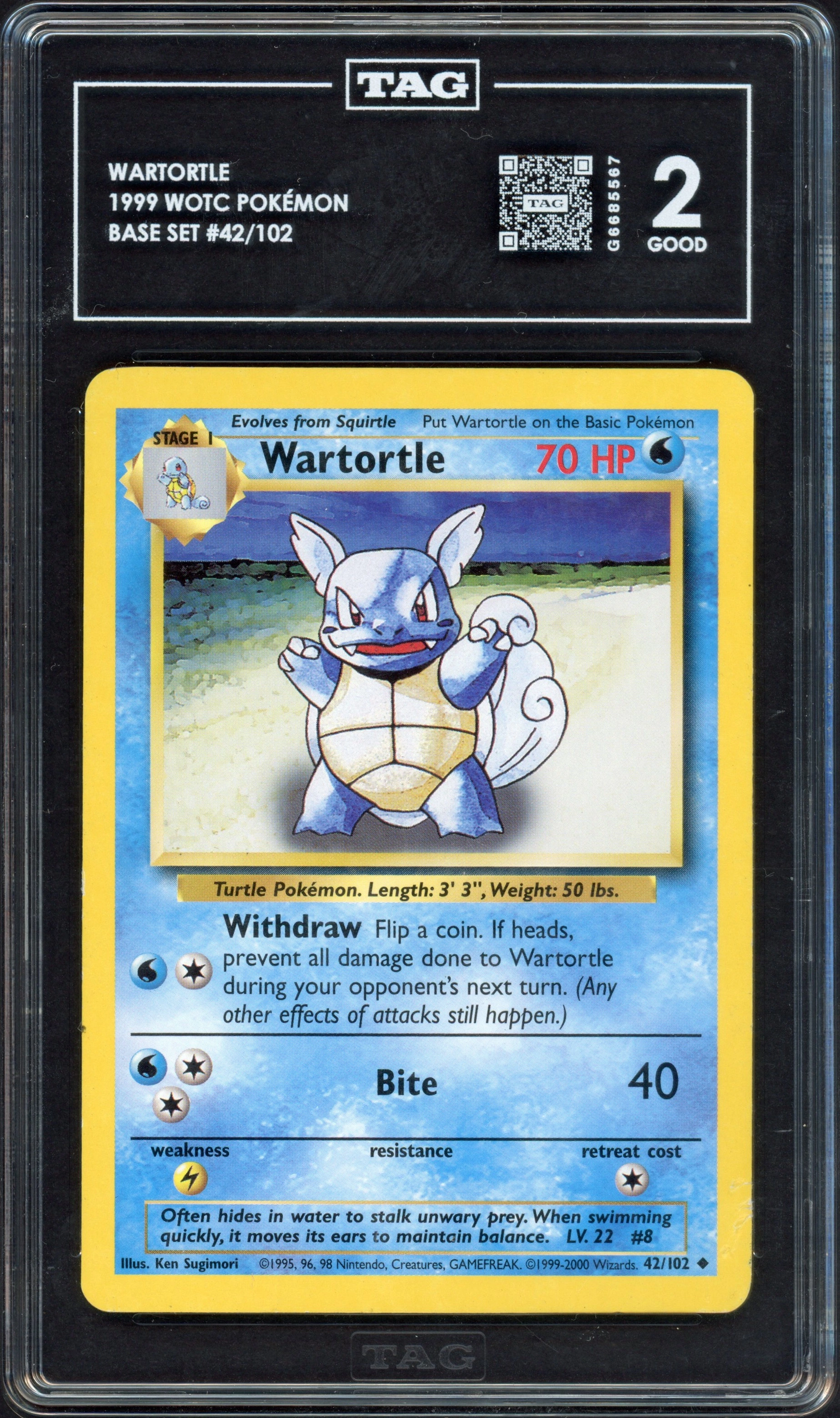 tag-wartortle front
