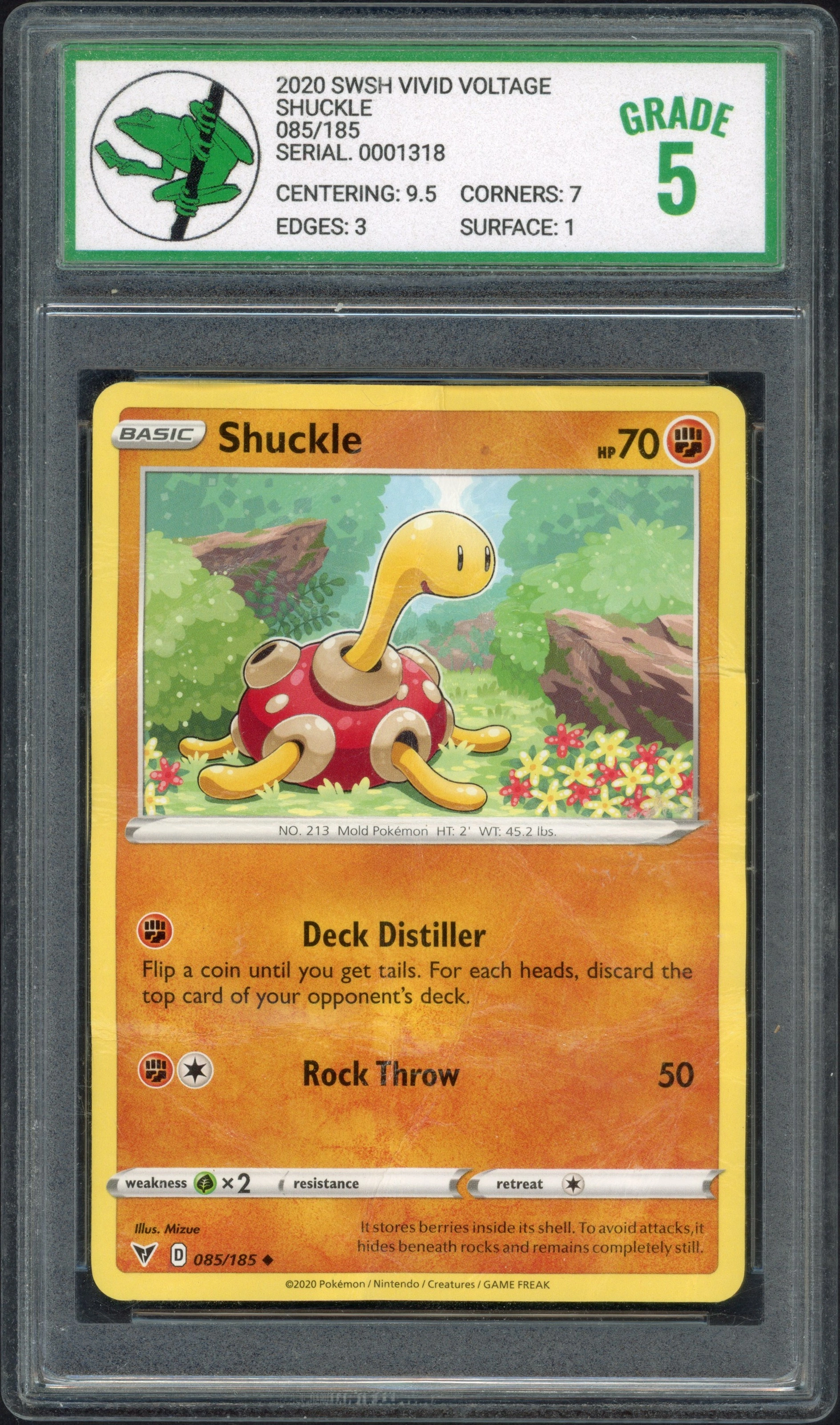 tfg-shuckle front