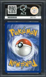 ace-squirtle back