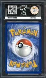 ace-wartortle back