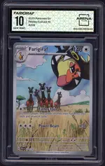 arena-farigiraf front