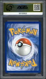 ars-ponyta back