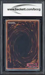 bccg-darkfire back