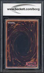 bccg-karbonala back