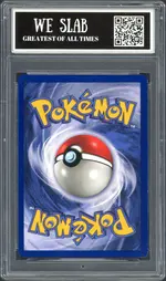 bgg-wartortle back