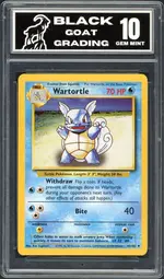 bgg-wartortle front