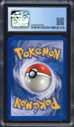cgc-rattata back