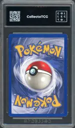 collecto-wartortle back