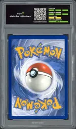 degree-charizard back