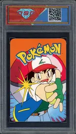 dsg-wartortle back