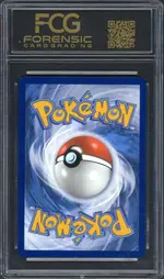 fcg-mewtwo back