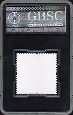 gbsc-mouse back