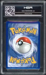 hga-vikavolt back